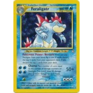 Pokemon Feraligatr (NG 4)-PO